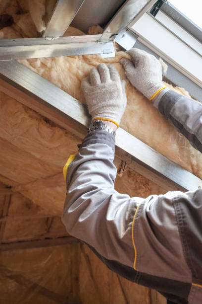 Best Cellulose Insulation in Charlotte Hall, MD