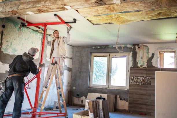 Best Insulation Maintenance and Repair in Charlotte Hall, MD