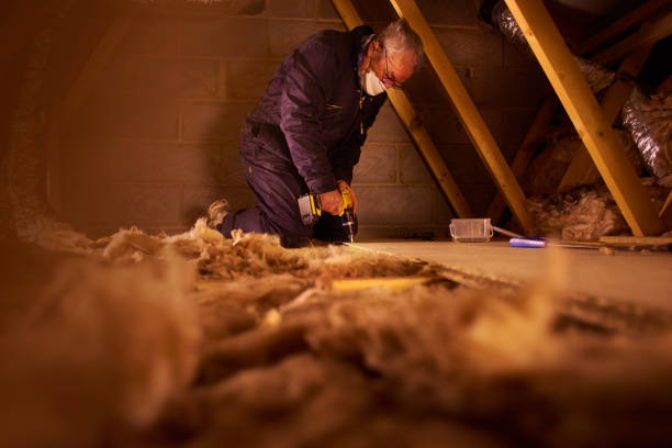 Best Specialized Insulation Services in Charlotte Hall, MD